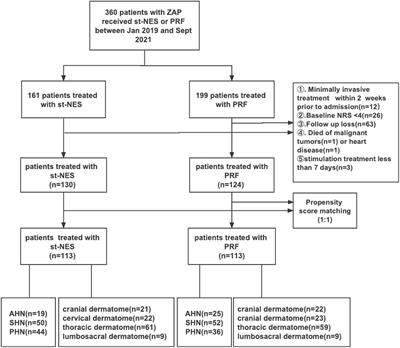 Propensity score matching comparing short-term nerve electrical stimulation to pulsed radiofrequency for herpes zoster-associated pain: A retrospective study